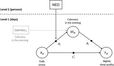 Negative Emotion Differentiation Attenuates the Within-Person Indirect Effect of Daily Stress on Nightly Sleep Quality Through Calmness